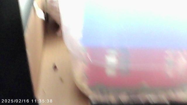 хомяки.avi