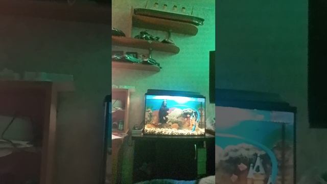 VID20250216211252.mp4