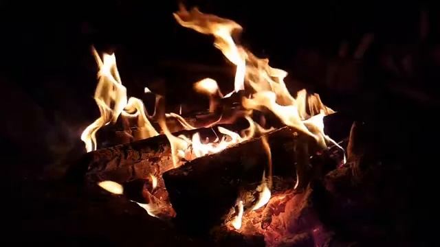 Костер ночью   залипательное видео  720 X 1280