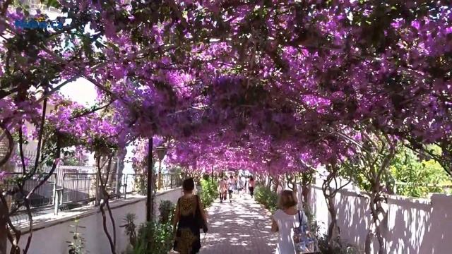 Turecko - Turecká riviéra - Alanya - Incekum - Alaiye Resort and Spa