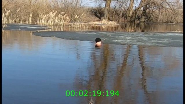 Купание от 22 03 23