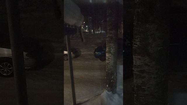 Пятница вечер Коми My favorite yard