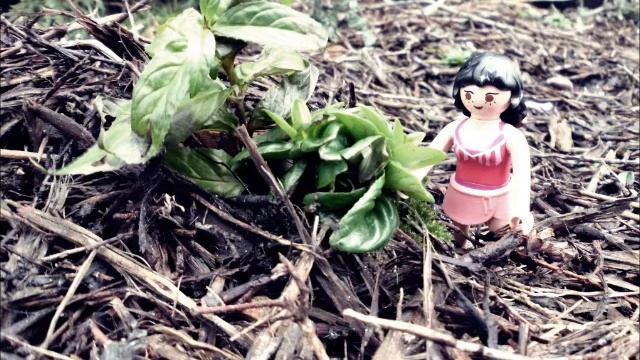 Narcissus und Echo - Lateinprojekt