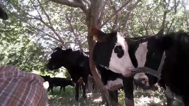 Безумный МАКС 2   (Видео со сёмок)