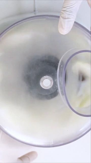 SEM Conservantes químicos, prepare qualquer receita com esse Tempero 😱