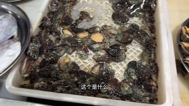 【Mandarin Dialect Accent Challenge】｜Seafood Market in Dalian｜大连海鲜市场｜Vlog in Chinese｜Listening