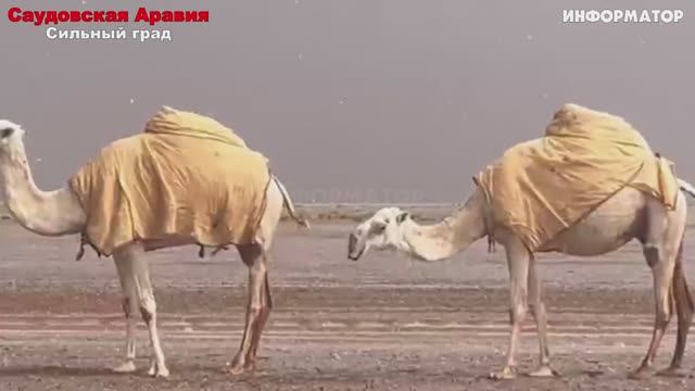 ЧП,_Россия_15_02_2025_Новости,_Экстренный_вызов_новый_выпуск,_Катаклизмы Россия  США Трамп