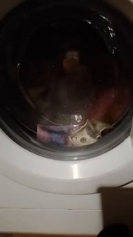 Смешные видео, юмор и приколы