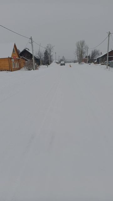 VID_20250216_145314