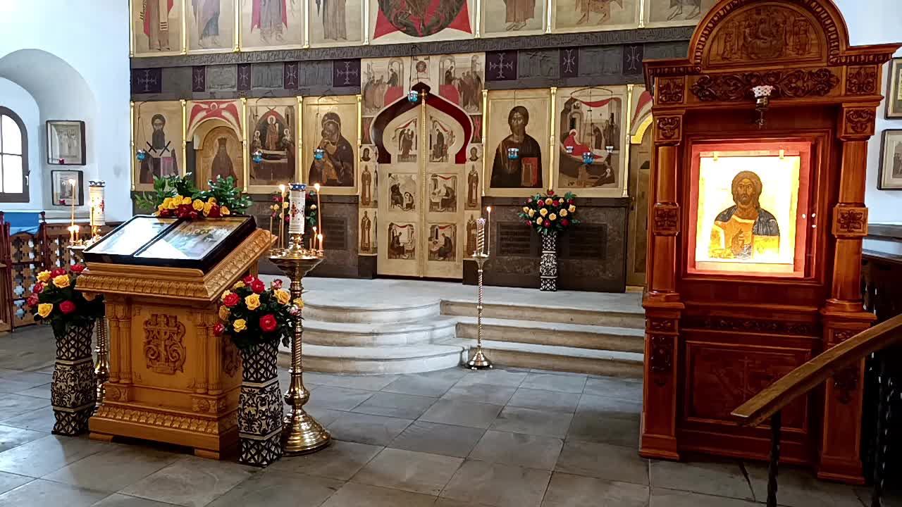 Неделя о блудном сыне. Попразднство Сретения Господня. Прямая трансляция.