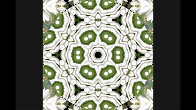 Hosta Mandala Moving Meditation