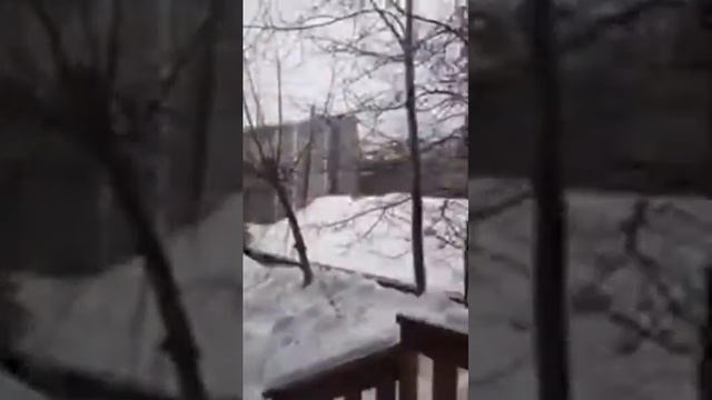 Gorgeous Melissa Riso Just Shared a Cool Video 2017