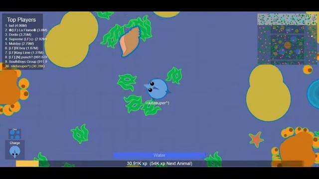 играю в mope.io