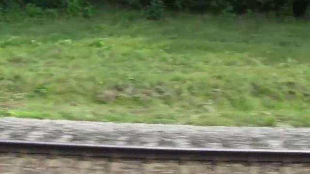 Вид из форточки