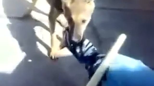 21 февраля 2017 г.