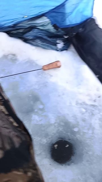 1000037756.mp4