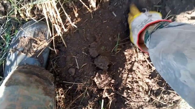 ЖелезноБетонный поиск 2024