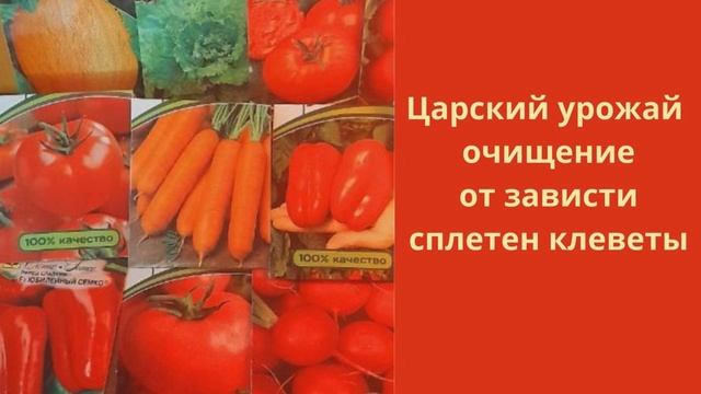 Царский урожай очищение от зависти сплетен клевету.