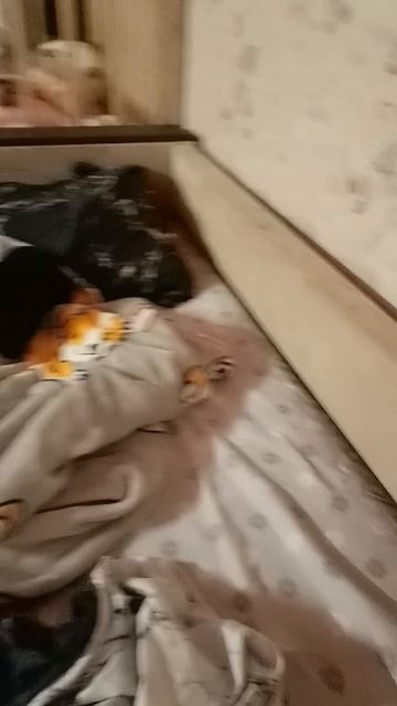 1000023407.mp4