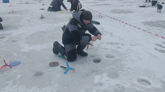 Поимки форели на водоеме!