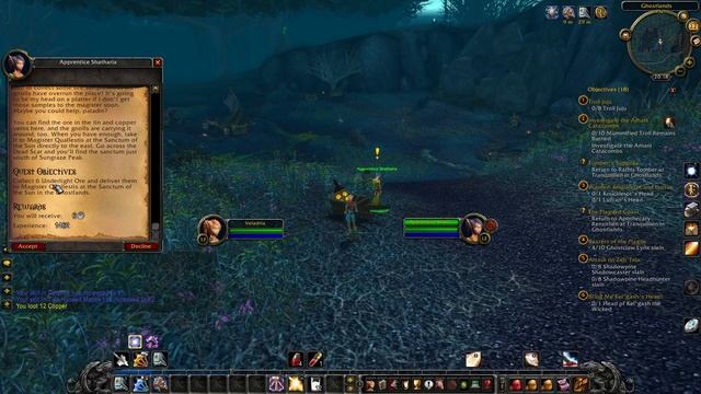 Let's Play World of Warcraft Wrath of the Lich King - Blood Elf Paladin P5 - Relaxing Gameplay
