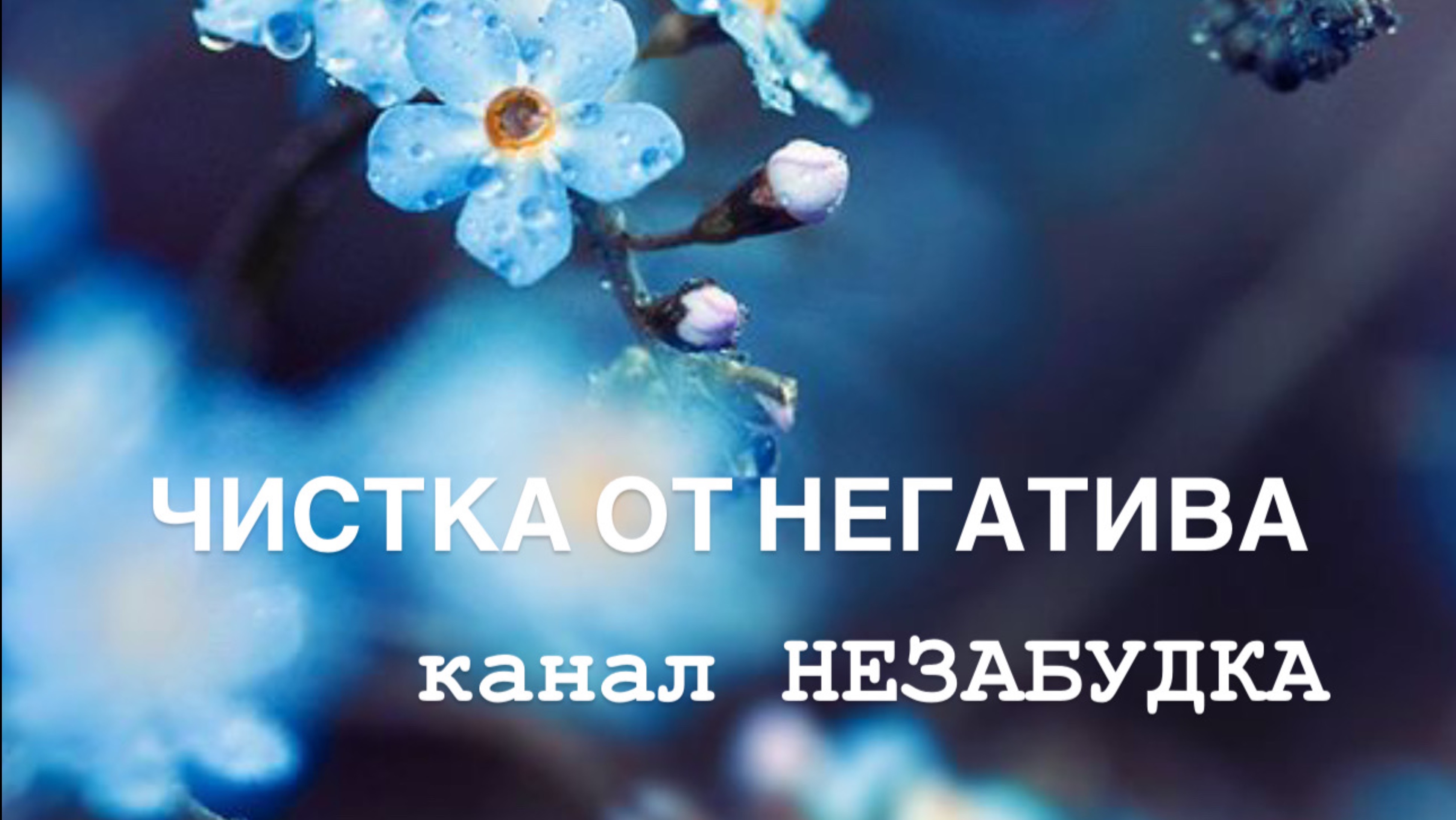 ЧИСТКА ОТ НЕГАТИВА 🤯🥸