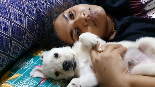 Mango n mashi thinking about ice cream.