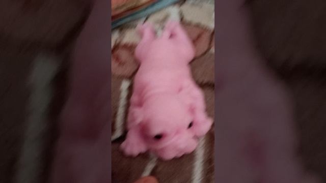 1000000128.mp4
