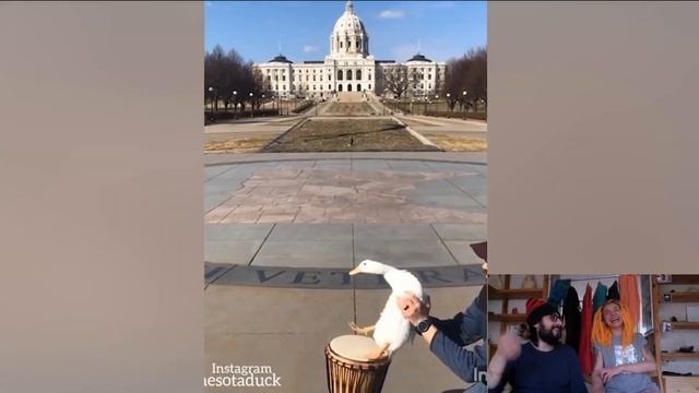 🔥🔥🔥 ПОПРОБУЕМ НЕ РЖАТЬ / СМЕШНЫЕ ВИДЕО / ВЫ НЕ СМОЖЕТЕ ВЫИГРАТЬ ЭТОТ ЧЕЛЛЕНДЖ  🔥🔥🔥