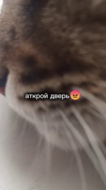 он помидорчик😘🤫🤭