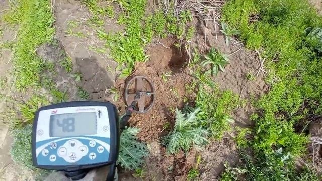 находки по краю оврага у реки