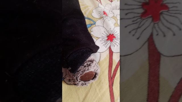 2 часть влога