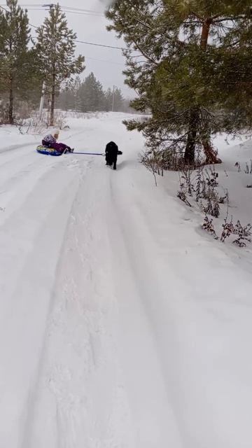 НУ ЭТО УЖЕ СОВСЕМ ДРУГАЯ ИСТОРИЯ