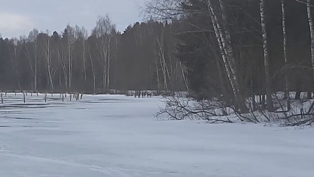 Стадо Маралов. Закрытие сезона 2021 во Владимировке