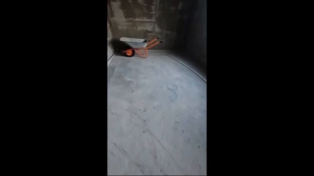 WhatsApp Video 2025-02-17 at 10.13.45
