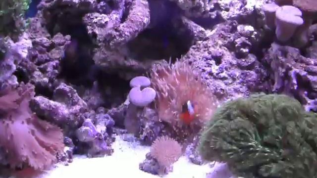 SDC10001.AVI