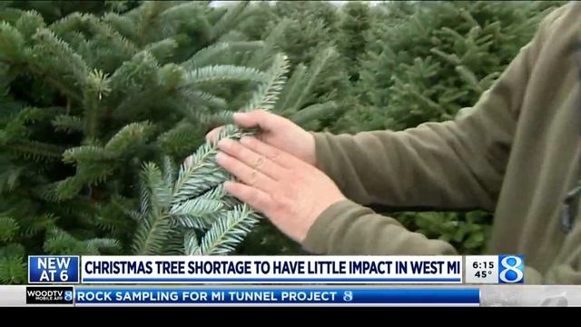 Nation hit with Christmas tree shortage