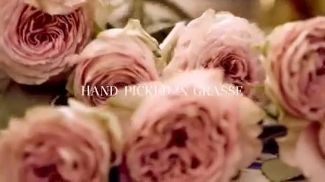 Rose De Grasse   YouTube