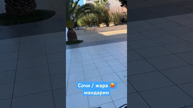Сочи / Мандарин 🍊 толпы туристов