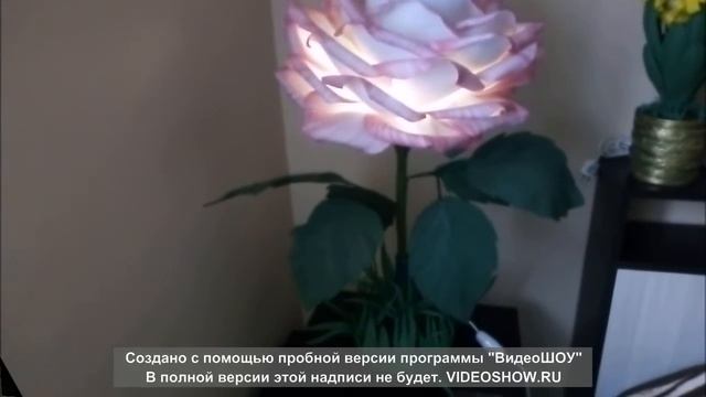 Обзор светильника "РОЗОВАЯ РОЗА".