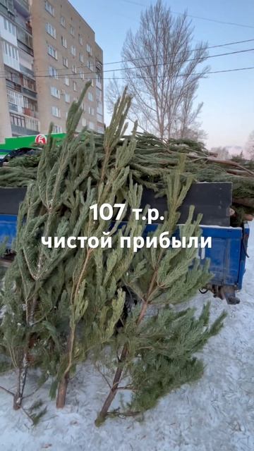 Результат торговли елками 2023/24