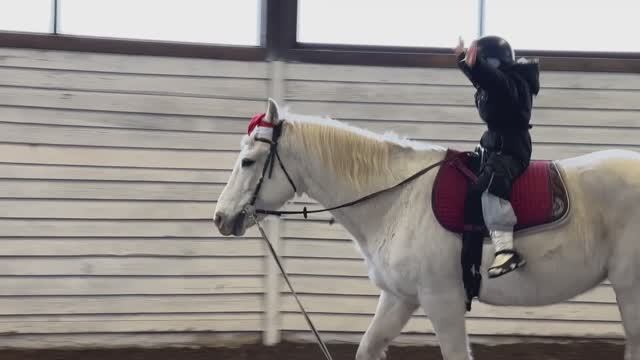 АКТРИСА/МОДЕЛЬ - НАВЫКИ ВЕРХОВАЯ ЕЗДА, Полика Южанина, 6л, 125рост, Москва.
