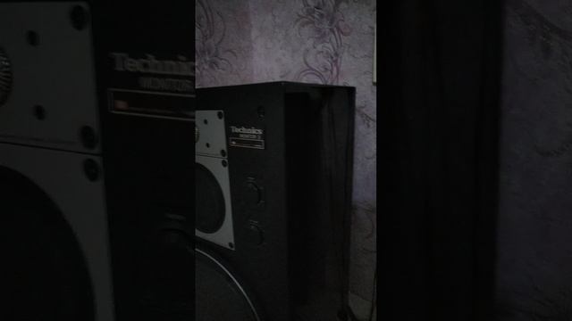 VID_20250217_154739.mp4