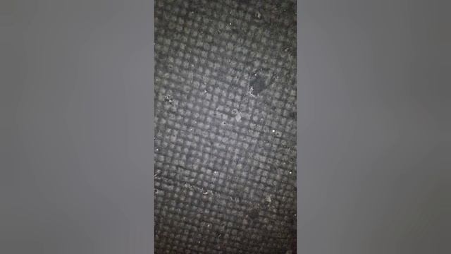 Peugeot 206 забит катализатор, не заводится, не развивает обороты.