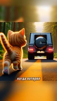 Котёнок стал не нужным