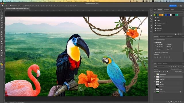 02-01_Работа со слоем Parrots