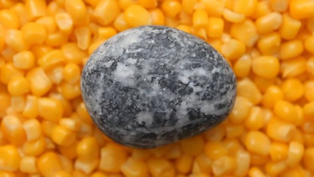 КУКУРУЗА