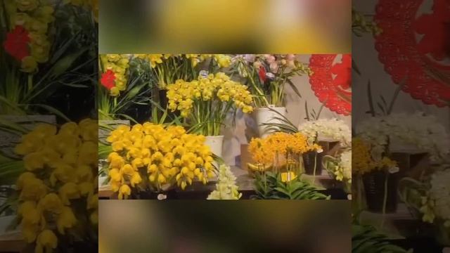 mongkok flowers market ❣️❣️❣️(1)