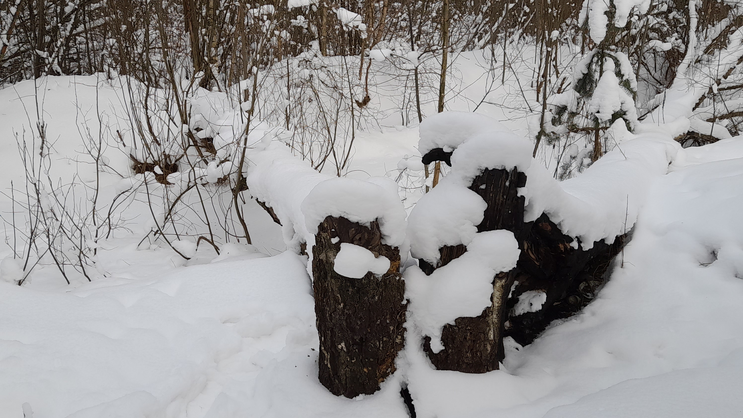 Музыка в дорогу.