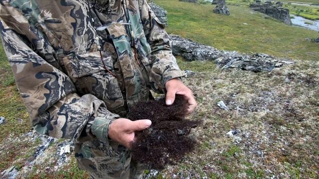 Лесные - не ожидали, что так можно засадить вездеход. Начало путешествия на север